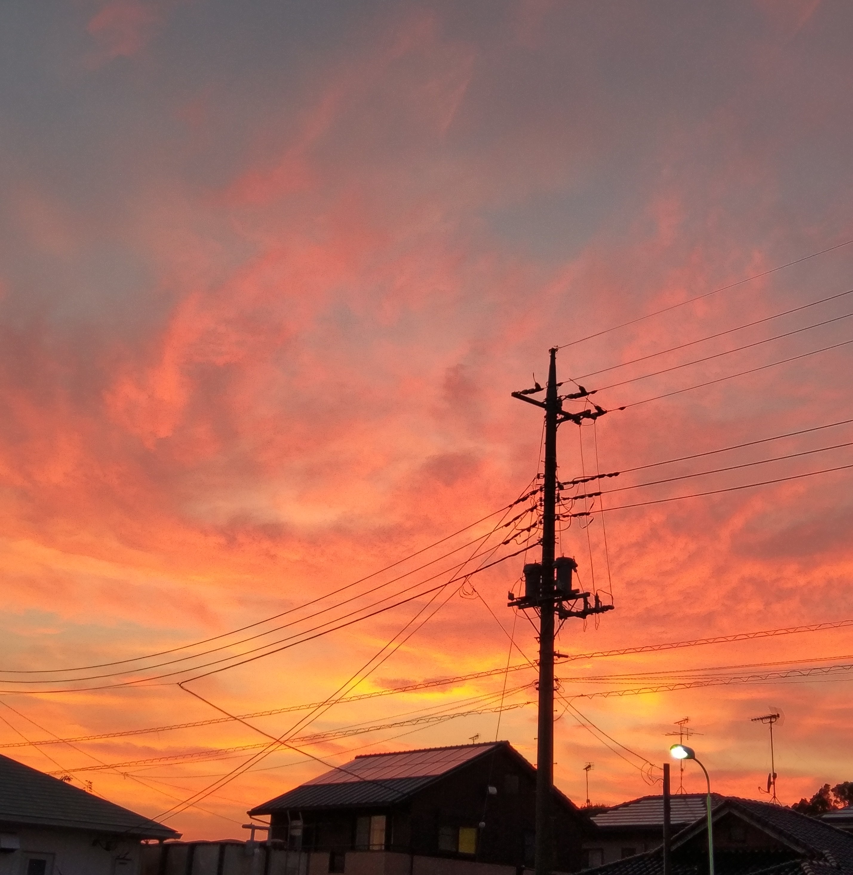 20180823115142b02.jpg