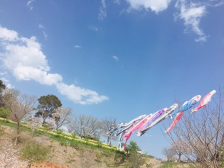 20190406234432478.jpeg