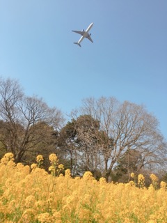 201904062344411d1.jpeg
