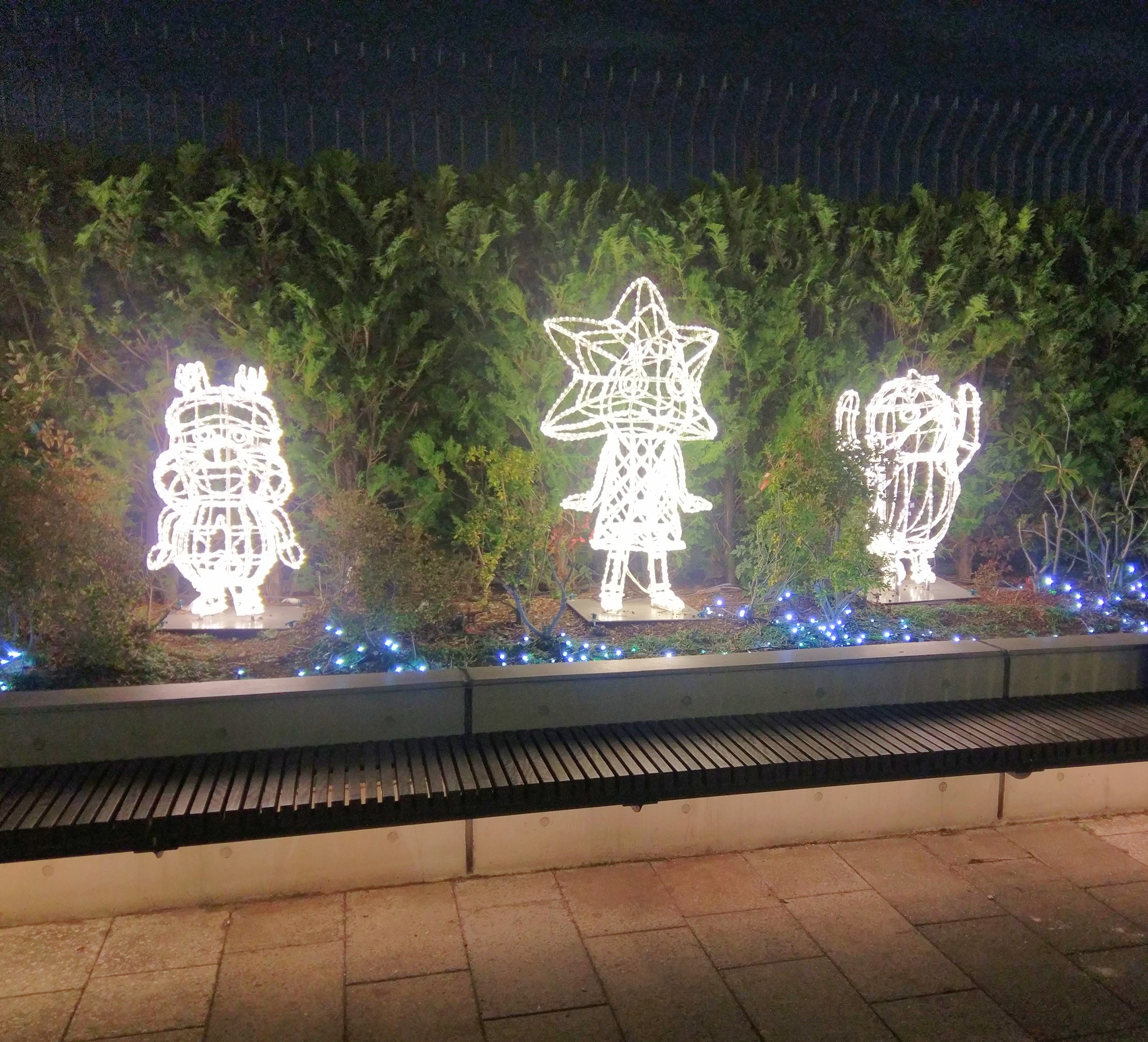 201906241129479f4.jpg