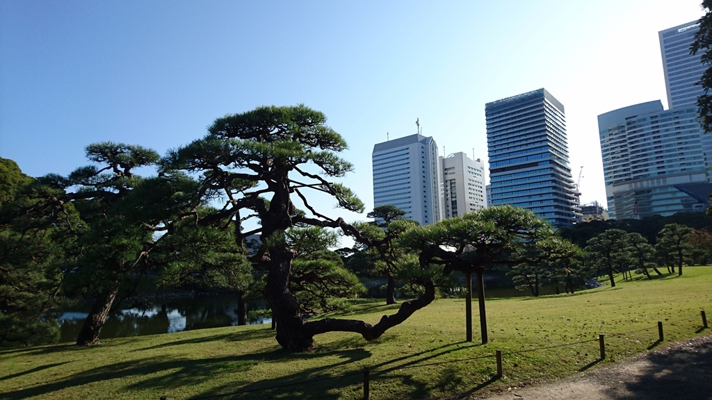 東京10