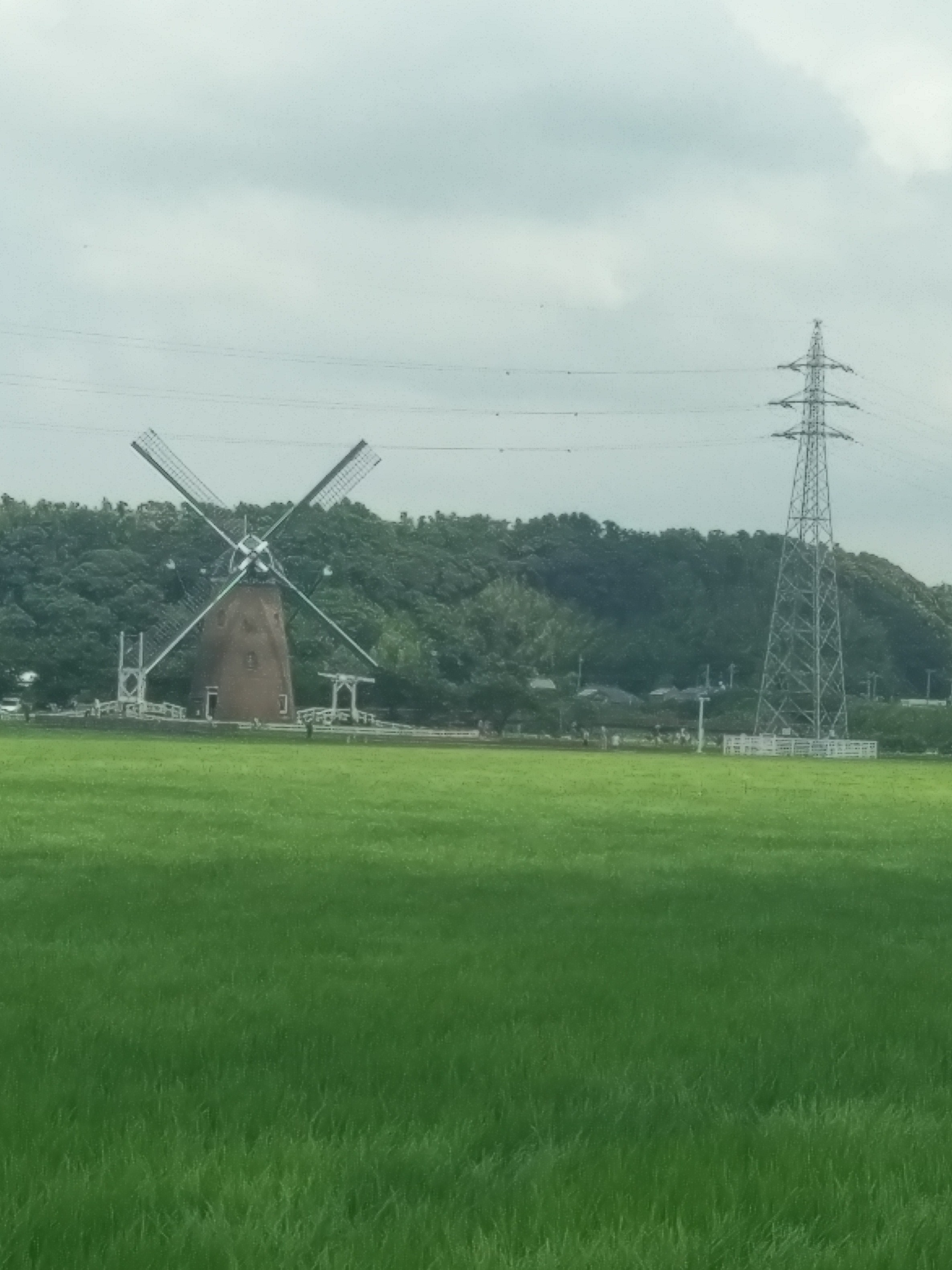 202007252046035af.jpg