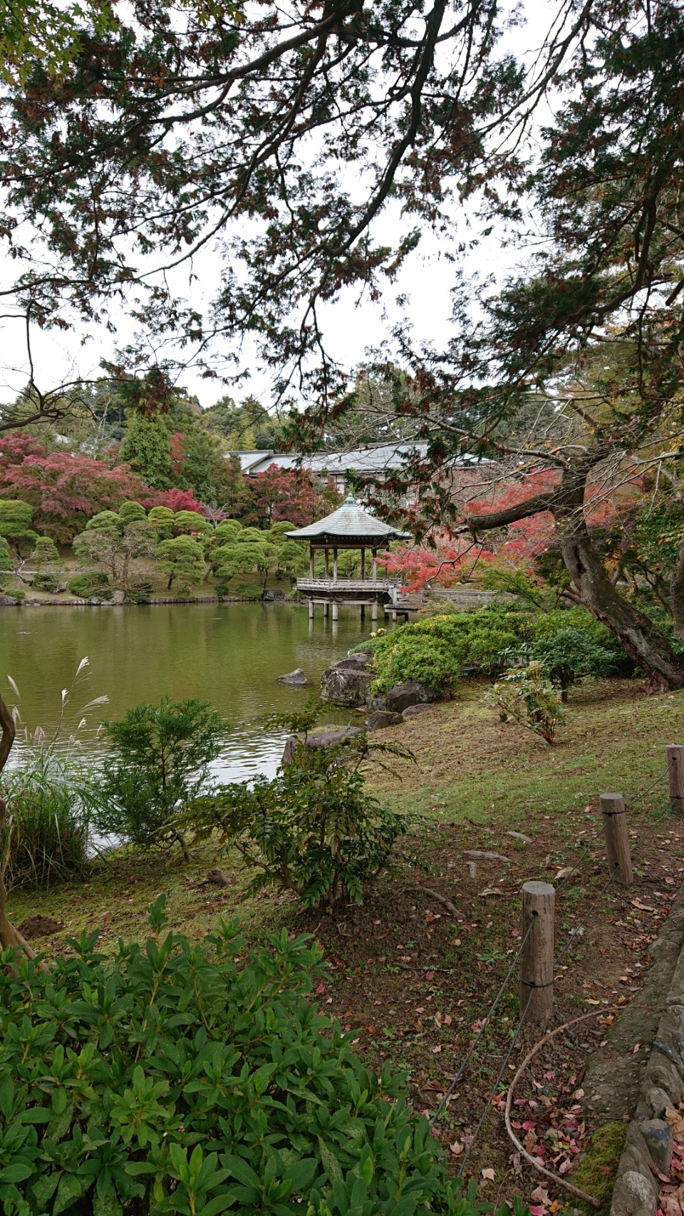 202011132012005bf.jpg