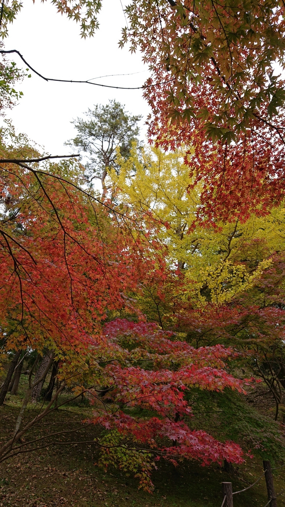 20201113201230c3d.jpg