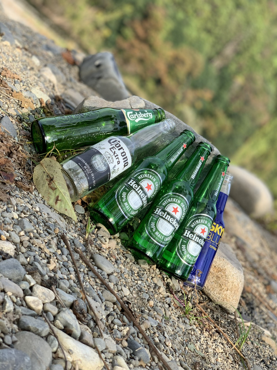 お酒