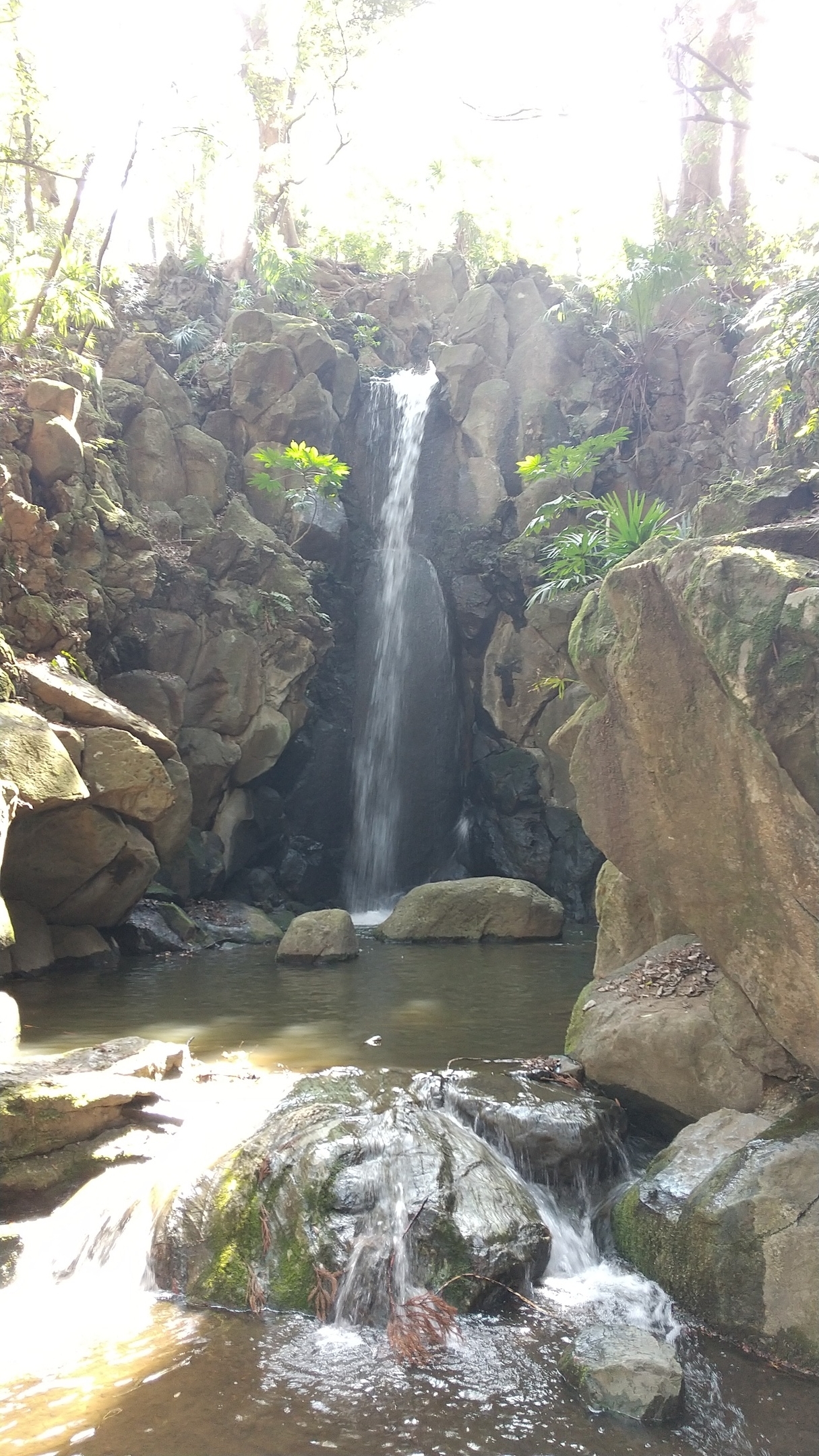 DSC_0047risaizu.jpg
