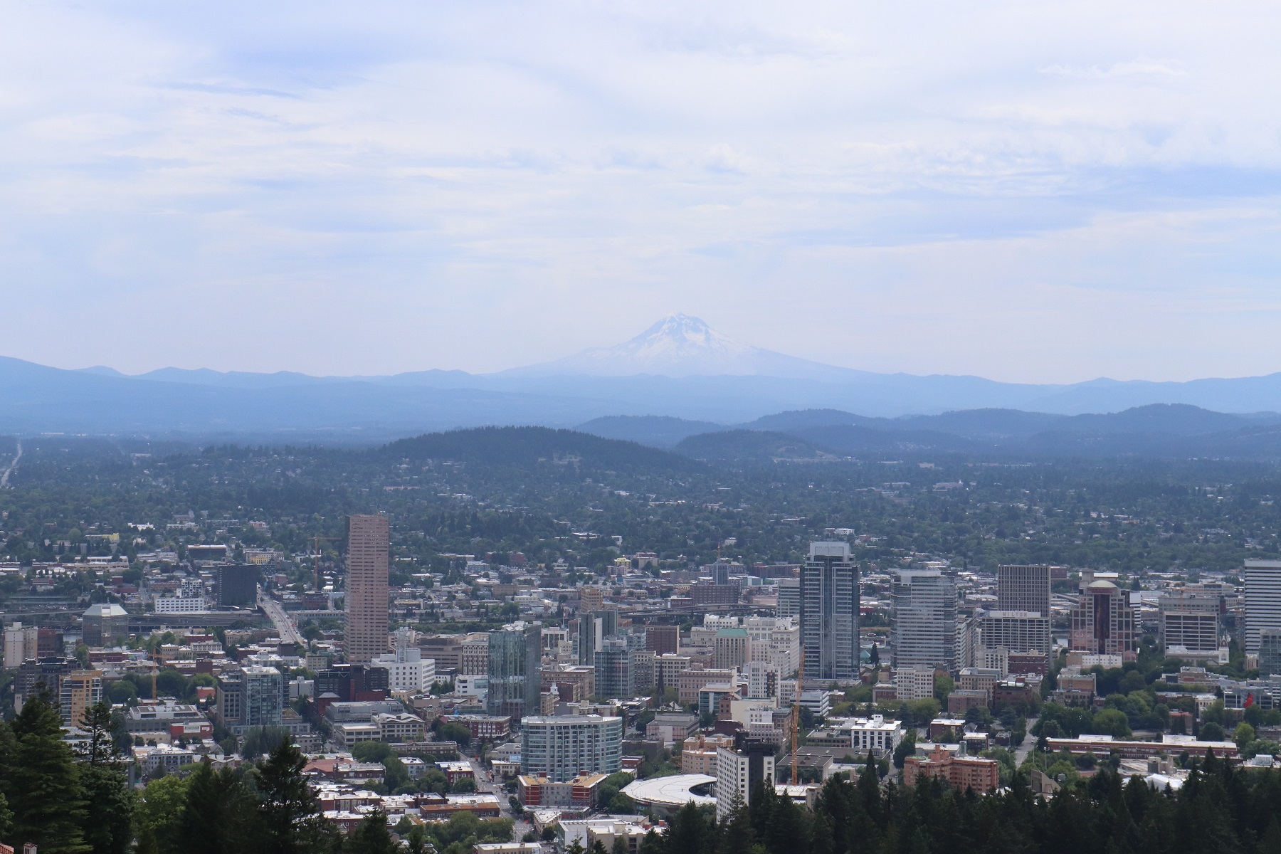 PDX2-12