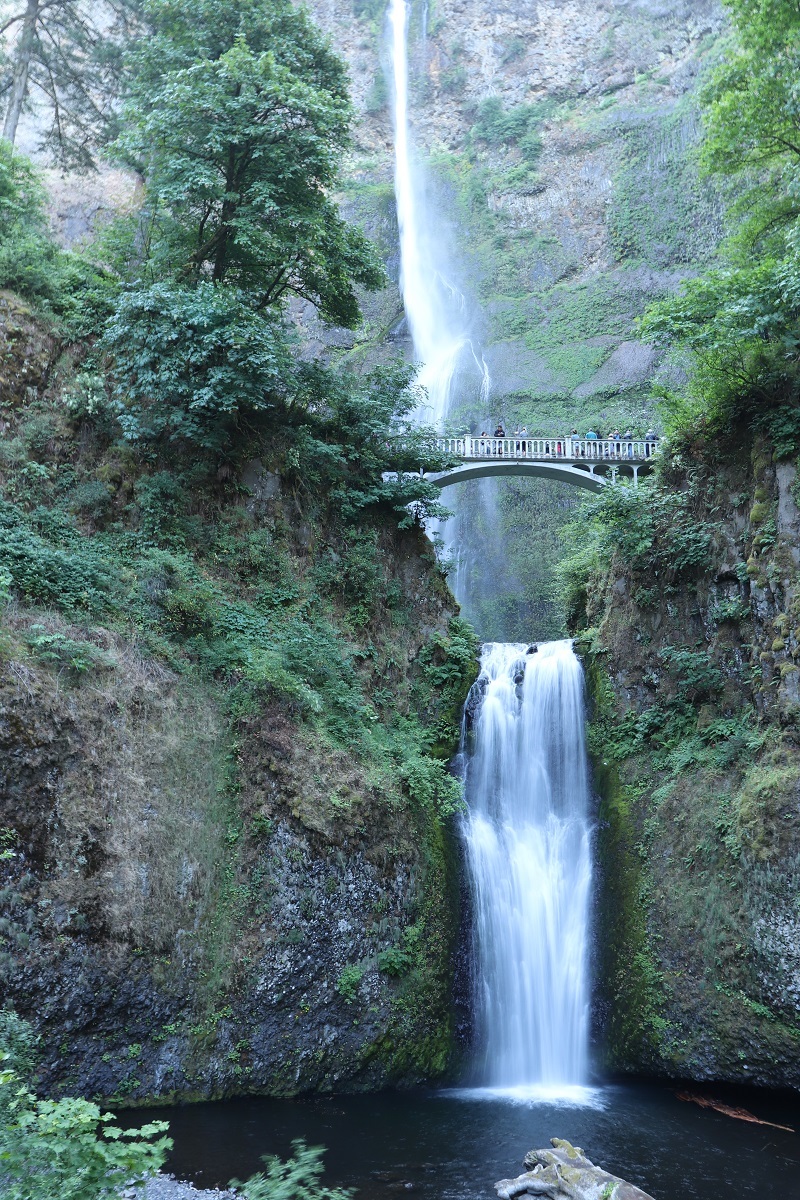 PDX3-6