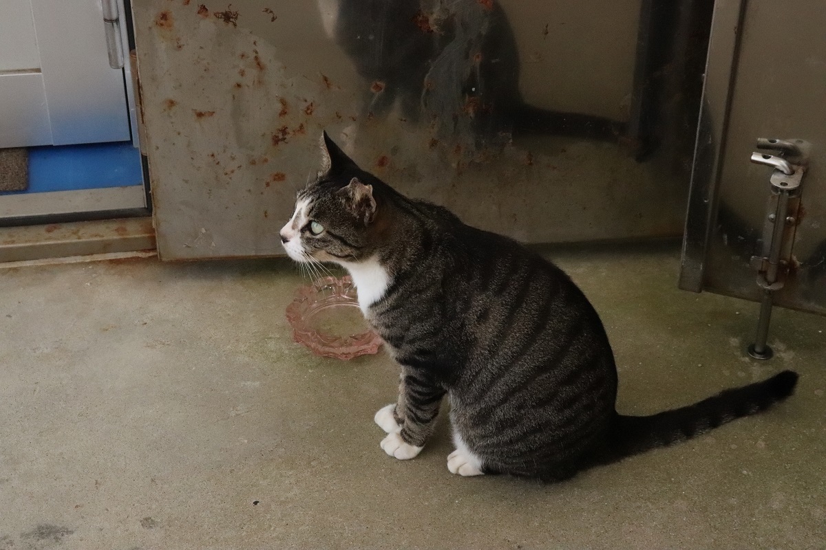 春リレーブログ写真➀